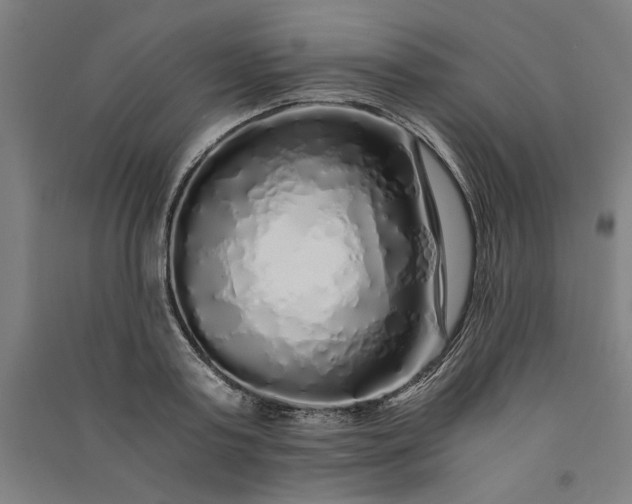 X0000091100795200708201519