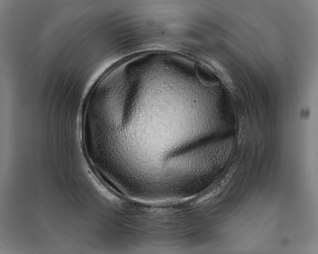 X0000091100796200708201519