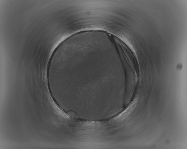 X0000091100797200708201519