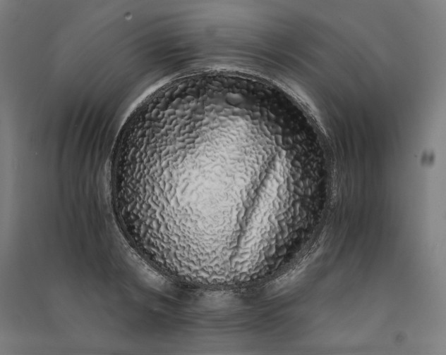 X0000091100798200708201519