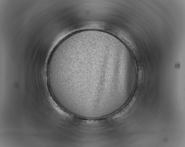 X0000091100800200708201519