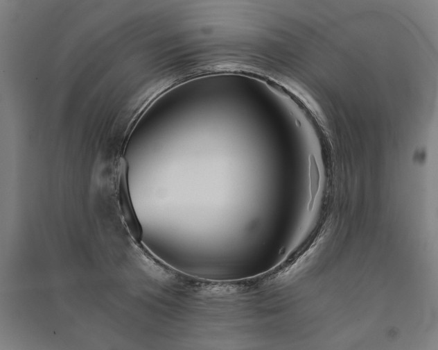 X0000091100801200708201519