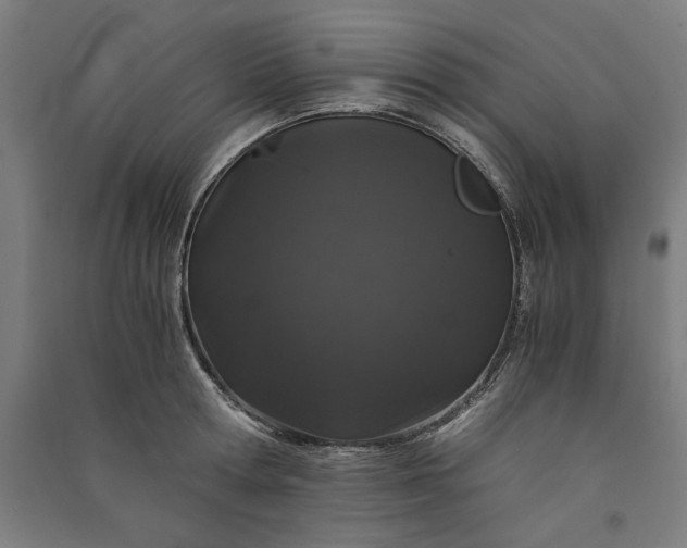 X0000091100802200708201519