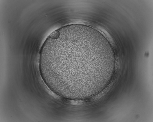 X0000091100804200708201519