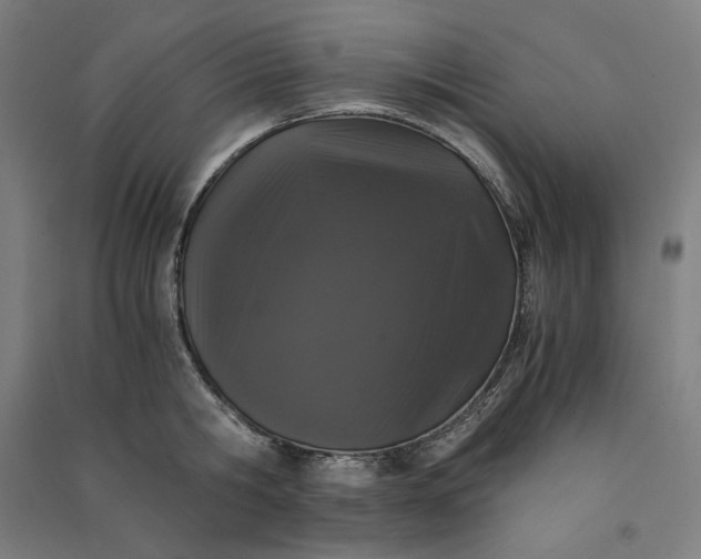 X0000091100806200708201519