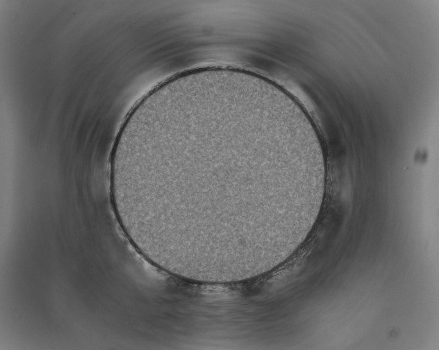 X0000091100807200708201519