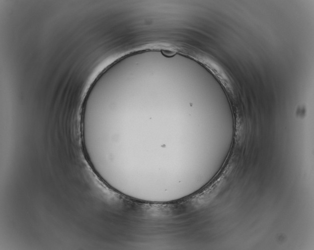 X0000091100808200708201519