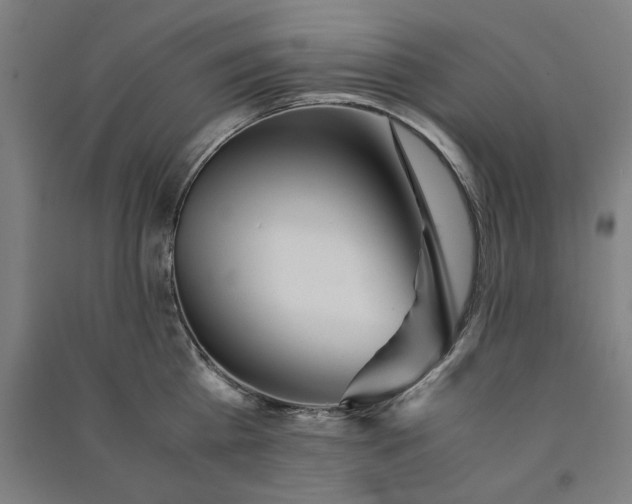 X0000091100809200708201519