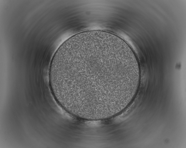 X0000091100810200708201519