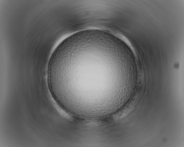 X0000091100811200708201519