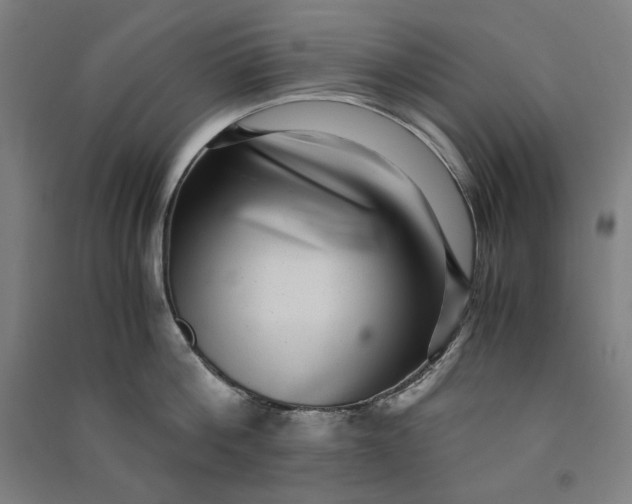 X0000091100812200708201519