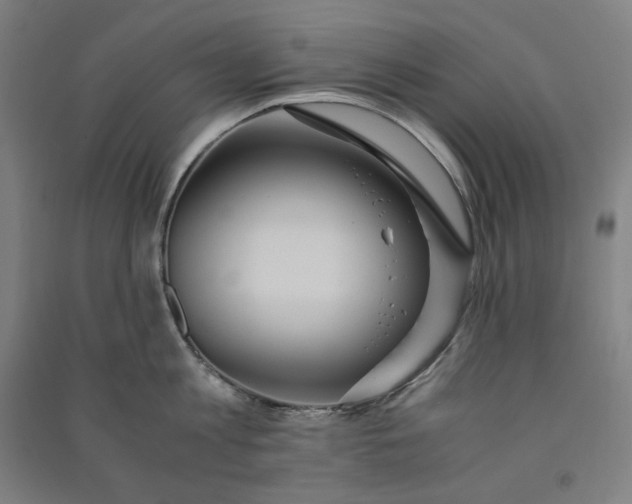 X0000091100813200708201519