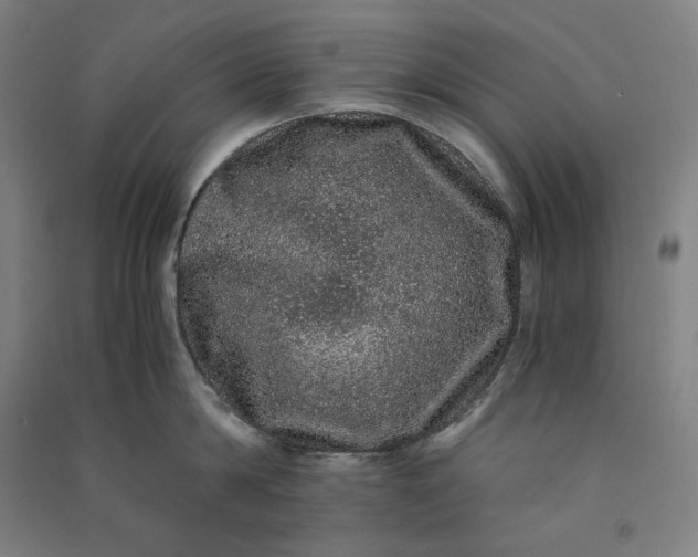 X0000091100814200708201519