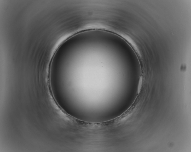 X0000091100815200708201519