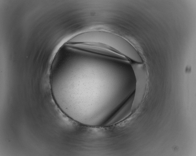 X0000091100816200708201519