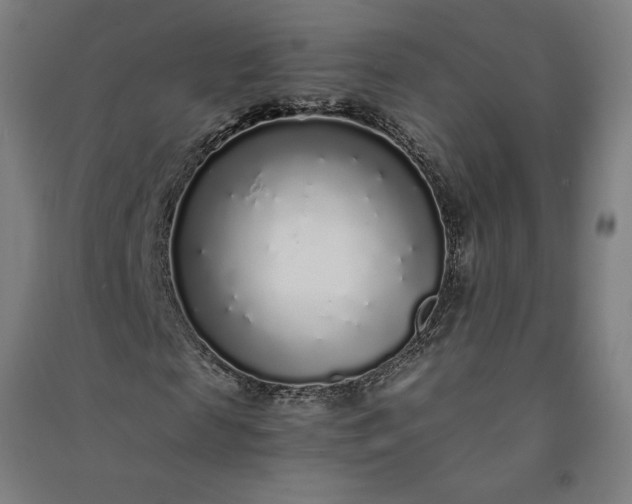 X0000091100817200708201518