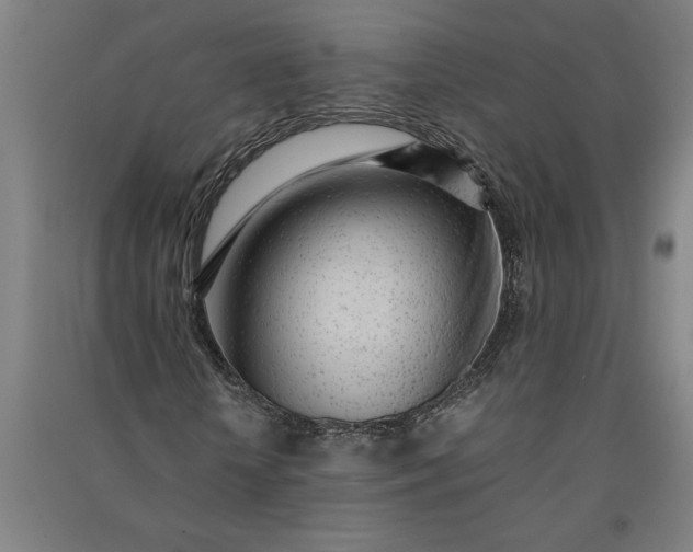 X0000091100818200708201518