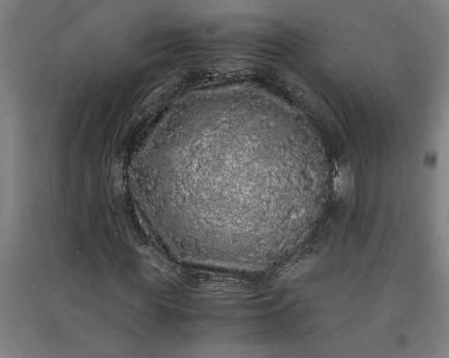 X0000091100819200708201518