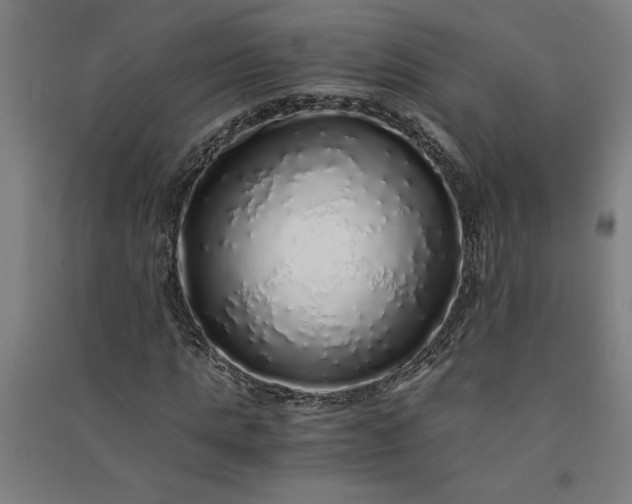 X0000091100821200708201518