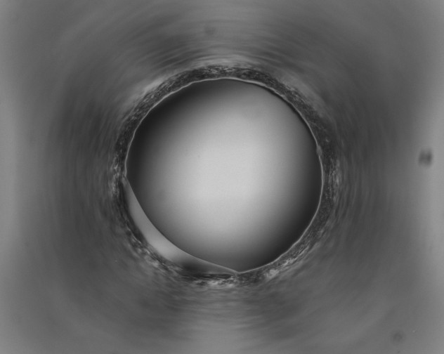 X0000091100822200708201518