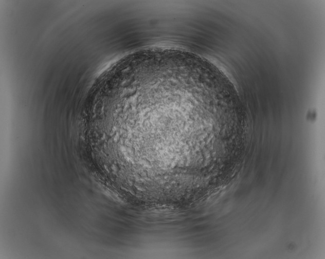 X0000091100823200708201518