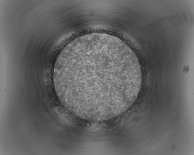 X0000091100824200708201518