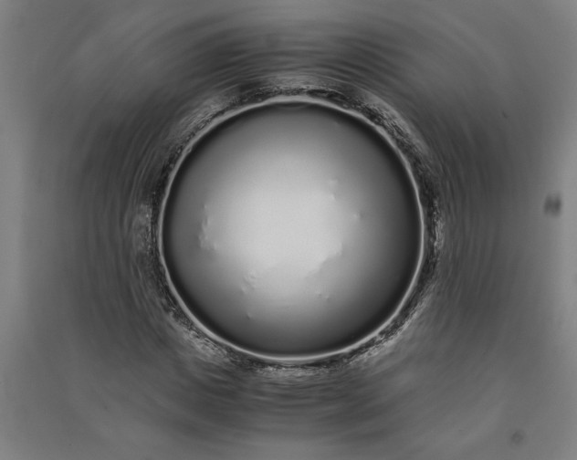 X0000091100825200708201518