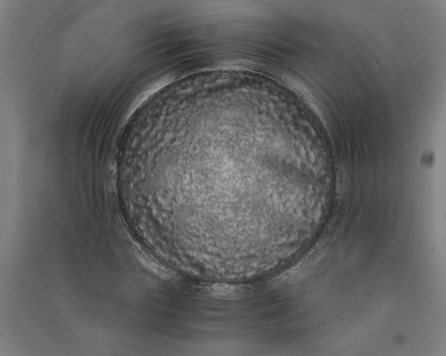 X0000091100827200708201518