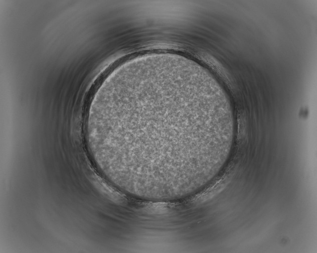 X0000091100828200708201518