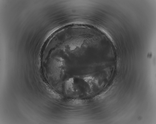 X0000091100829200708201518