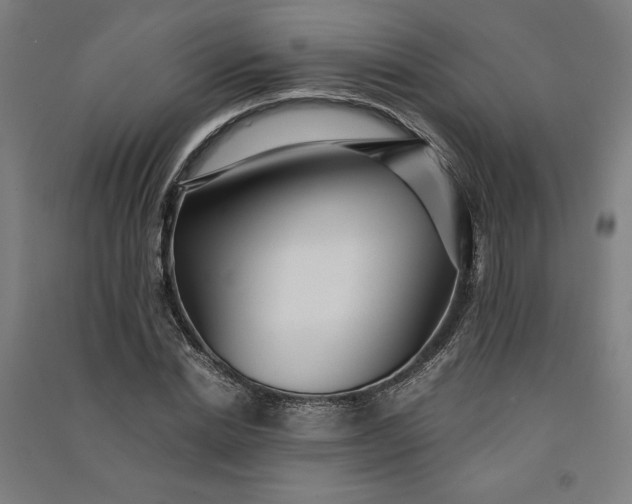 X0000091100830200708201518