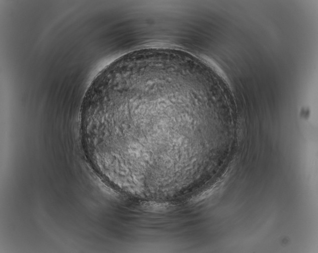 X0000091100831200708201518