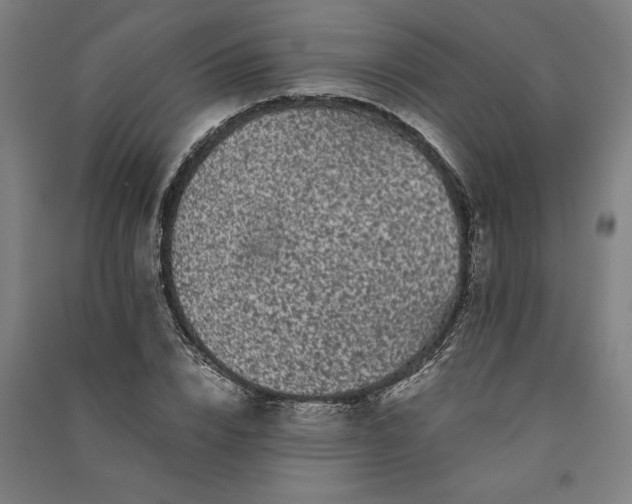 X0000091100832200708201518