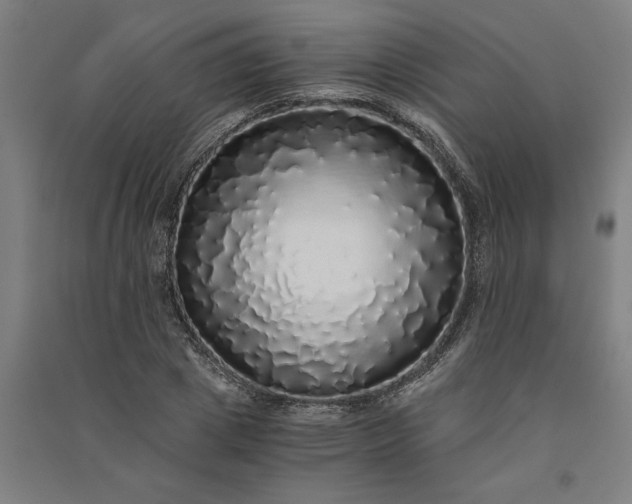 X0000091100833200708201518