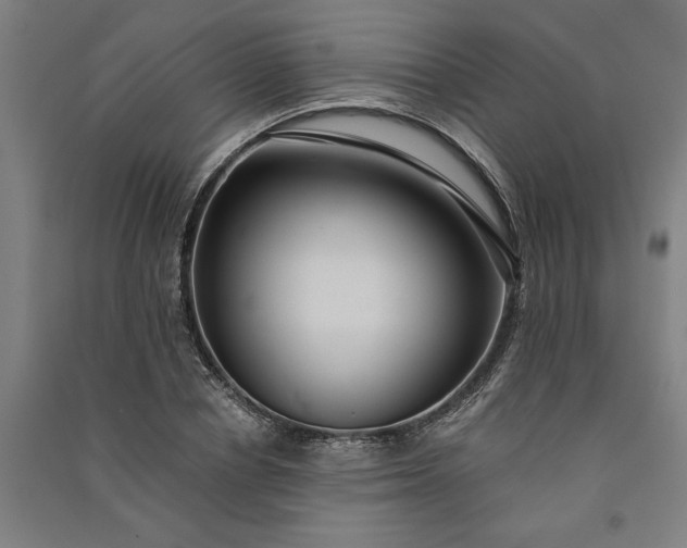 X0000091100834200708201518