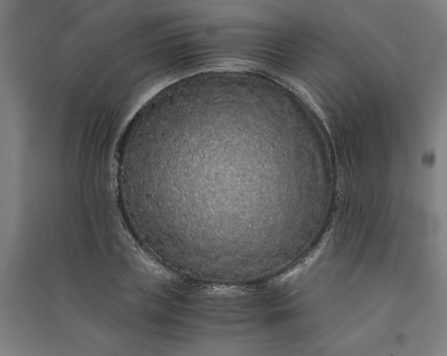 X0000091100835200708201518