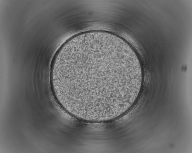 X0000091100836200708201518