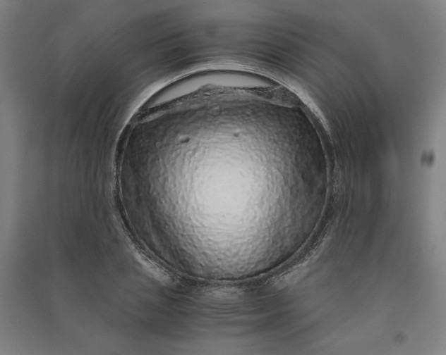 X0000091100837200708201518