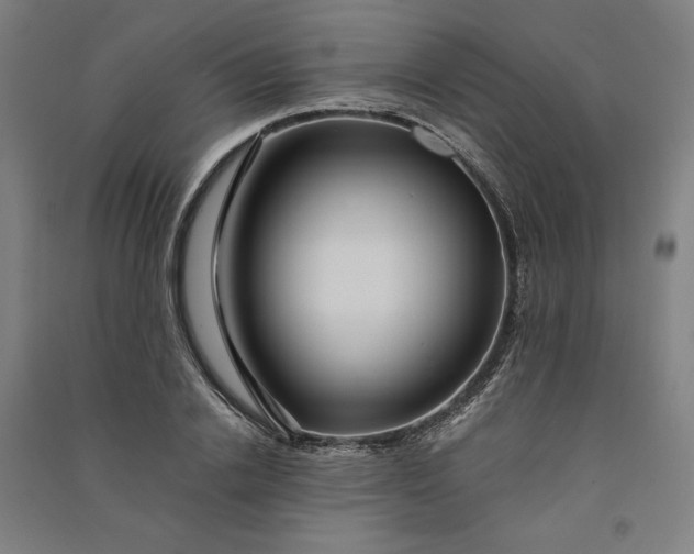 X0000091100838200708201518