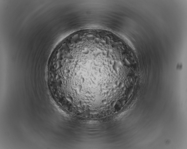 X0000091100839200708201518