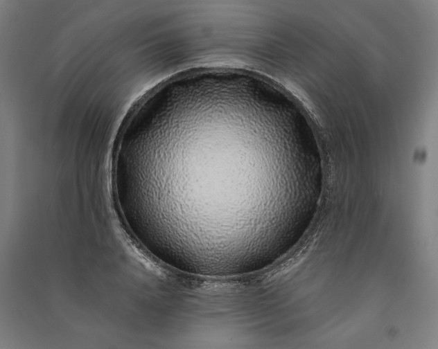 X0000091100840200708201518