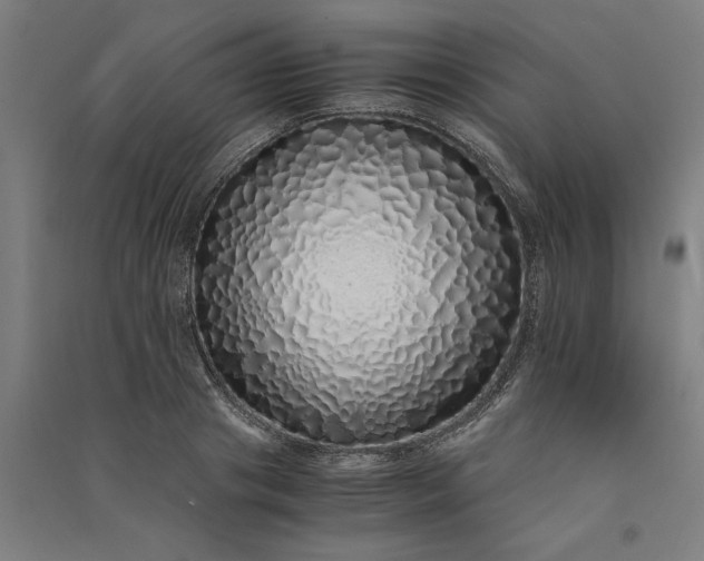 X0000091100841200708201518