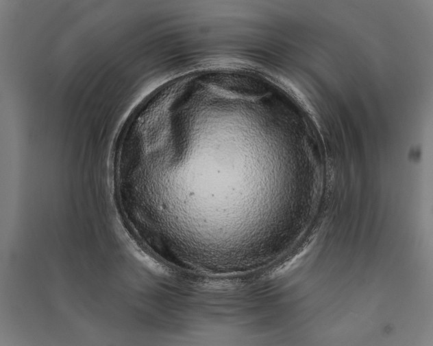 X0000091100843200708201518