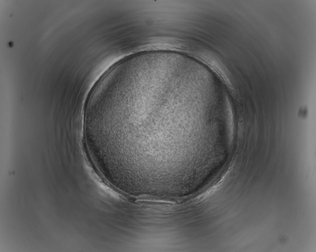 X0000091100844200708201518