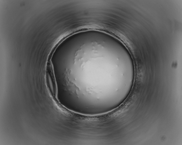 X0000091100845200708201518