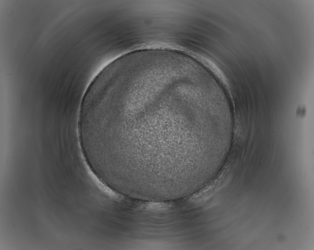 X0000091100847200708201518