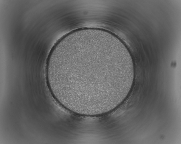 X0000091100848200708201518