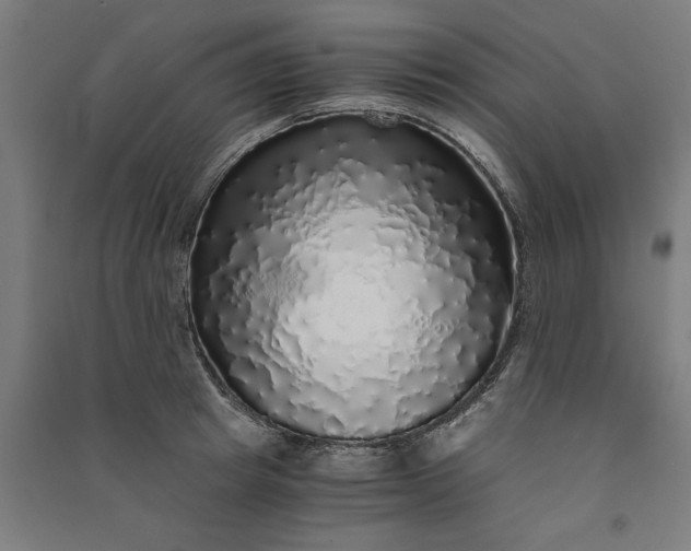 X0000091100849200708201518