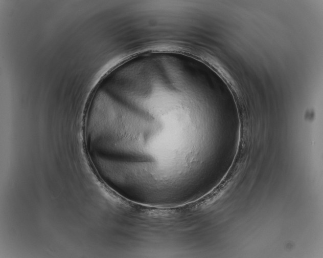 X0000091100853200708201518