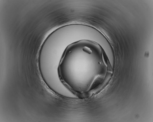 X0000091100854200708201518